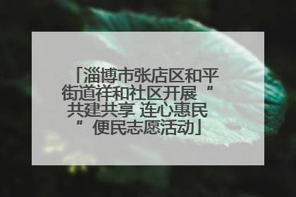 淄博市张店区和平街道祥和社区开展“共建共享 连心惠民”便民志愿活动
