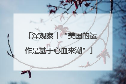深观察丨“美国的运作是基于心血来潮”