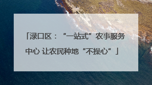 渌口区：“一站式”农事服务中心 让农民种地“不操心”