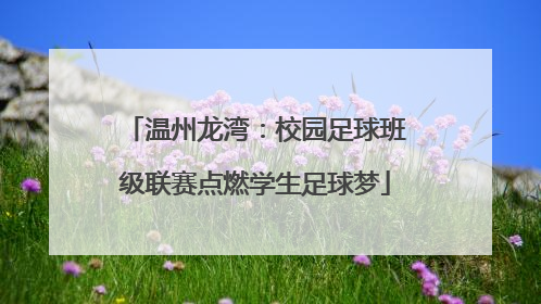 温州龙湾：校园足球班级联赛点燃学生足球梦
