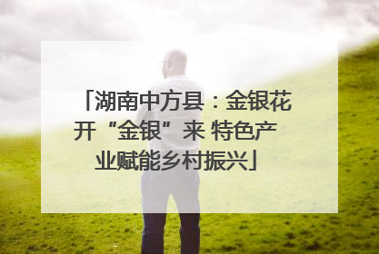 湖南中方县：金银花开“金银”来 特色产业赋能乡村振兴
