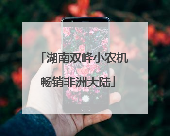 湖南双峰小农机畅销非洲大陆