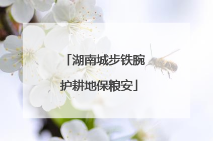 湖南城步铁腕护耕地保粮安