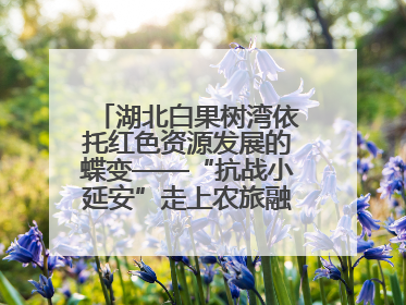 湖北白果树湾依托红色资源发展的蝶变——“抗战小延安”走上农旅融合振兴路