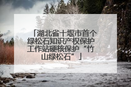 湖北省十堰市首个绿松石知识产权保护工作站硬核保护“竹山绿松石”