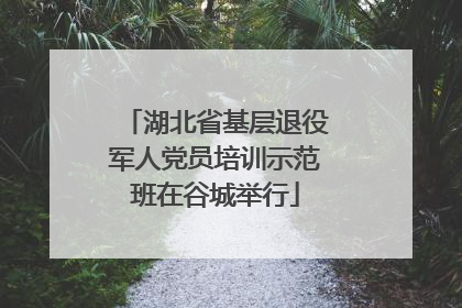 湖北省基层退役军人党员培训示范班在谷城举行