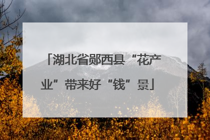 湖北省郧西县“花产业”带来好“钱”景