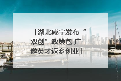 湖北咸宁发布“双创”政策包 广邀英才返乡创业