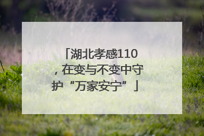 湖北孝感110，在变与不变中守护“万家安宁”