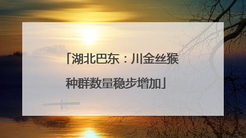 湖北巴东：川金丝猴种群数量稳步增加