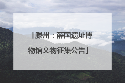 滕州：薛国遗址博物馆文物征集公告
