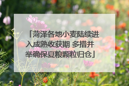 菏泽各地小麦陆续进入成熟收获期 多措并举确保夏粮颗粒归仓