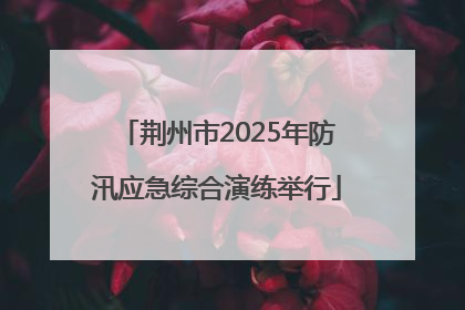 荆州市2025年防汛应急综合演练举行