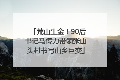 荒山生金！90后书记马传力带领张山头村书写山乡巨变