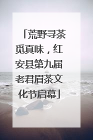 荒野寻茶觅真味，红安县第九届老君眉茶文化节启幕