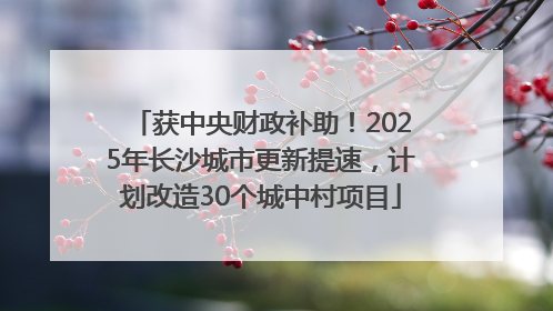 获中央财政补助！2025年长沙城市更新提速，计划改造30个城中村项目