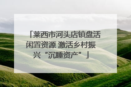莱西市河头店镇盘活闲置资源 激活乡村振兴“沉睡资产”