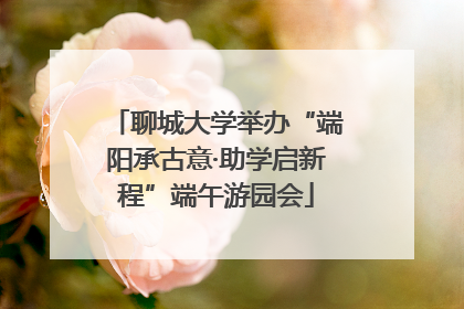 聊城大学举办“端阳承古意·助学启新程”端午游园会