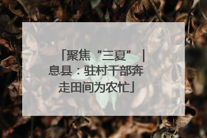 聚焦“三夏”｜息县：驻村干部奔走田间为农忙