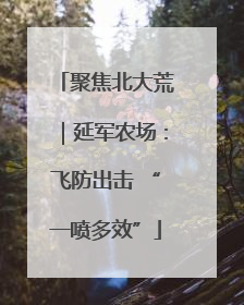 聚焦北大荒｜延军农场：飞防出击 “一喷多效”