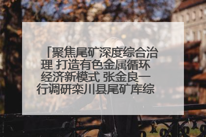 聚焦尾矿深度综合治理 打造有色金属循环经济新模式 张金良一行调研栾川县尾矿库综合治理工作
