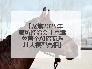 聚焦2025年廊坊经洽会丨京津冀首个AI招商选址大模型亮相