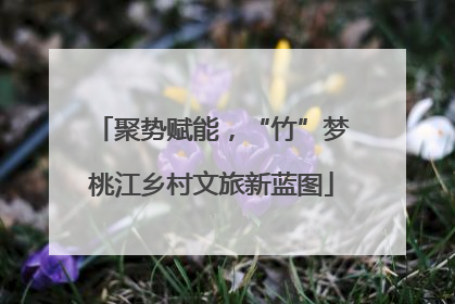 聚势赋能，“竹”梦桃江乡村文旅新蓝图
