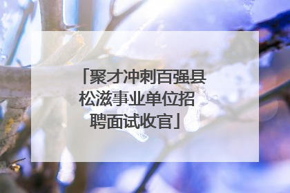 聚才冲刺百强县 松滋事业单位招聘面试收官