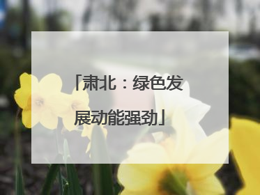 肃北：绿色发展动能强劲