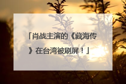 肖战主演的《藏海传》在台湾被刷屏！