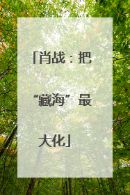 肖战：把“藏海”最大化