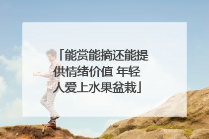 能赏能摘还能提供情绪价值 年轻人爱上水果盆栽