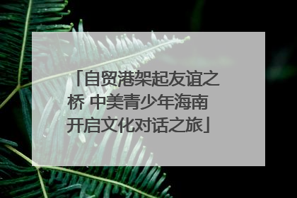 自贸港架起友谊之桥 中美青少年海南开启文化对话之旅