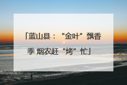 蓝山县：“金叶”飘香季 烟农赶“烤”忙