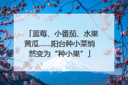 蓝莓、小番茄、水果黄瓜……阳台种小菜悄然变为“种小果”
