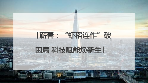 蕲春：“虾稻连作”破困局 科技赋能焕新生
