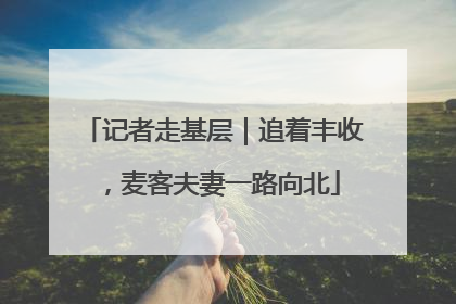 记者走基层｜追着丰收，麦客夫妻一路向北
