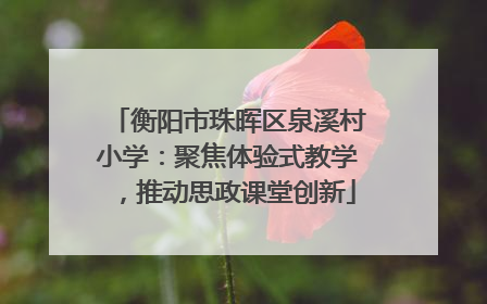 衡阳市珠晖区泉溪村小学：聚焦体验式教学，推动思政课堂创新