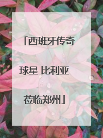 西班牙传奇球星 比利亚莅临郑州