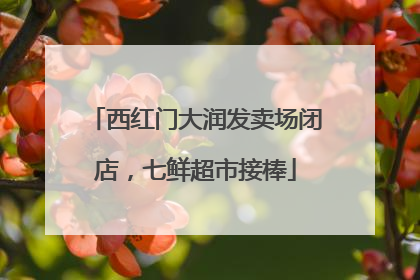 西红门大润发卖场闭店，七鲜超市接棒