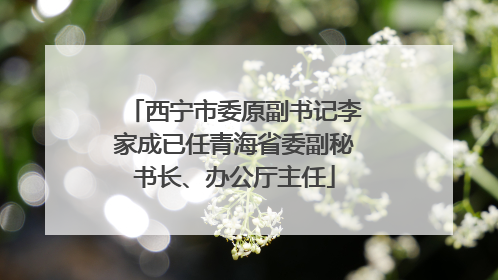 西宁市委原副书记李家成已任青海省委副秘书长、办公厅主任