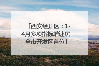 西安经开区：1-4月多项指标增速居全市开发区首位