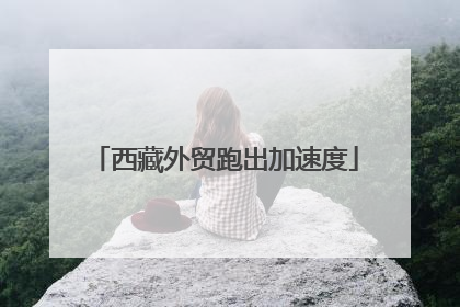 西藏外贸跑出加速度