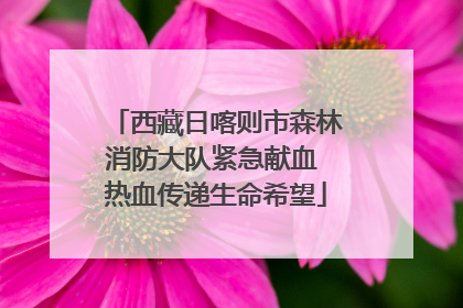 西藏日喀则市森林消防大队紧急献血 热血传递生命希望