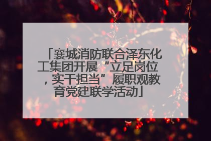 襄城消防联合泽东化工集团开展“立足岗位，实干担当”履职观教育党建联学活动