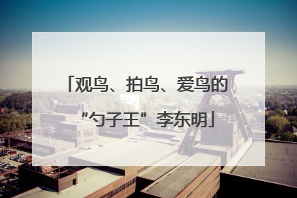 观鸟、拍鸟、爱鸟的“勺子王”李东明