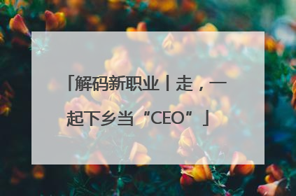 解码新职业丨走，一起下乡当“CEO”