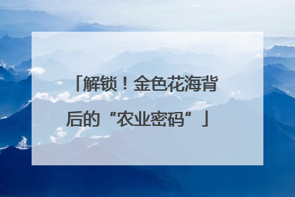 解锁！金色花海背后的“农业密码”