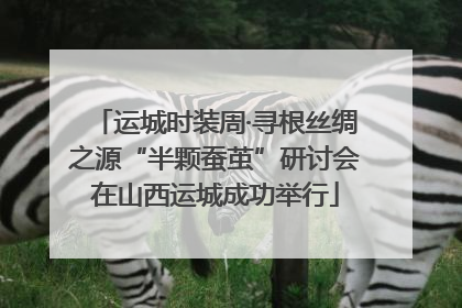 运城时装周·寻根丝绸之源“半颗蚕茧”研讨会在山西运城成功举行