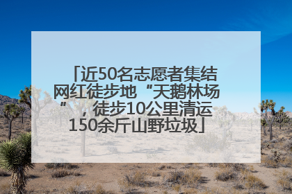 近50名志愿者集结网红徒步地“天鹅林场”，徒步10公里清运150余斤山野垃圾
